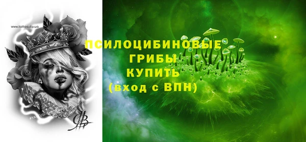 МДПВ Алексин