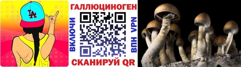 Галлюциногенные грибы прущие грибы  KRAKEN зеркало  Лодейное Поле 
